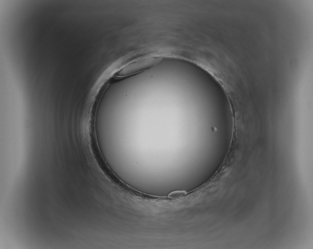 X0000110670007200906191354