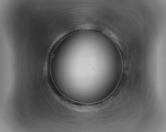 X0000110670012200906191354