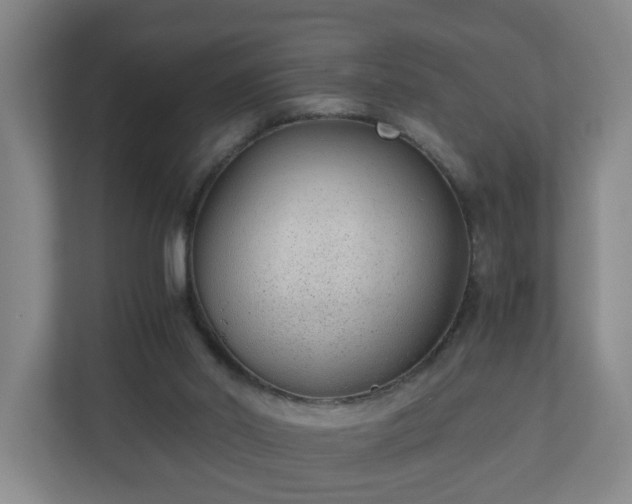 X0000110670014200906191354