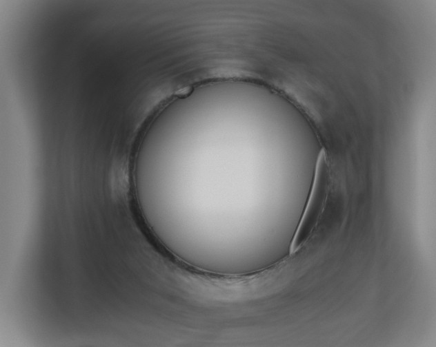 X0000110670015200906191354
