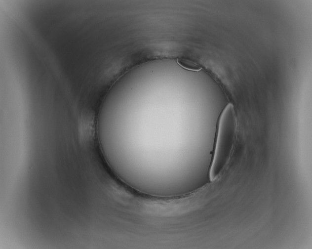 X0000110670017200906191354