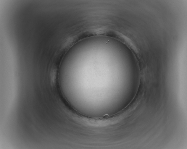 X0000110670018200906191354