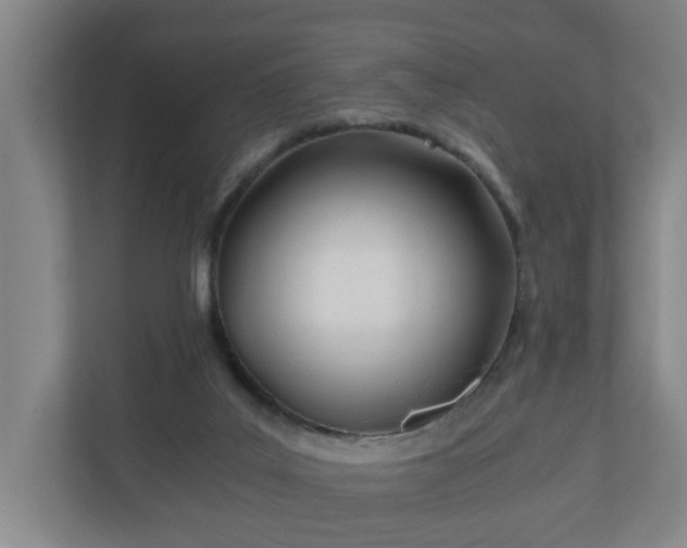 X0000110670019200906191354