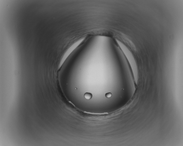 X0000110670025200906191354