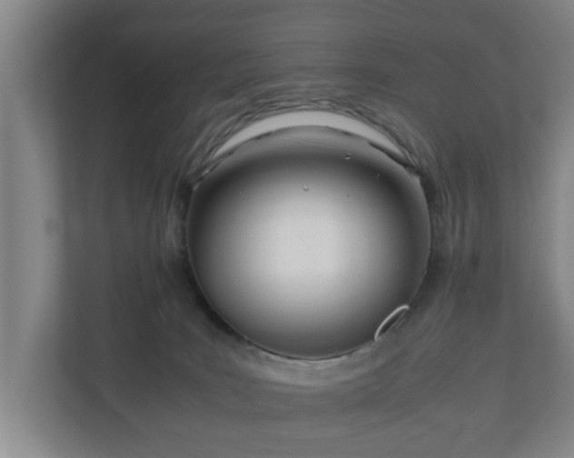 X0000110670035200906191354