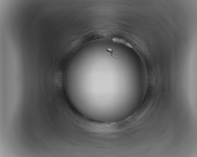 X0000110670036200906191354
