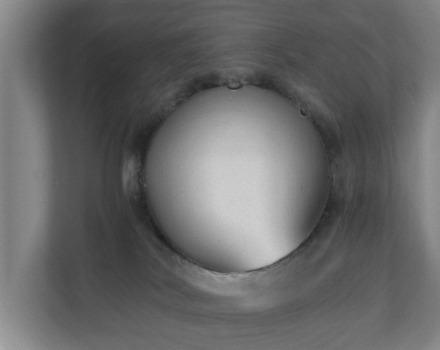 X0000110670038200906191354