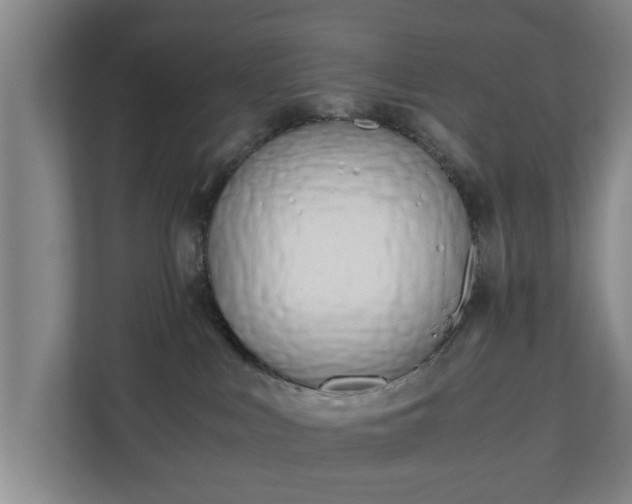 X0000110670043200906191354