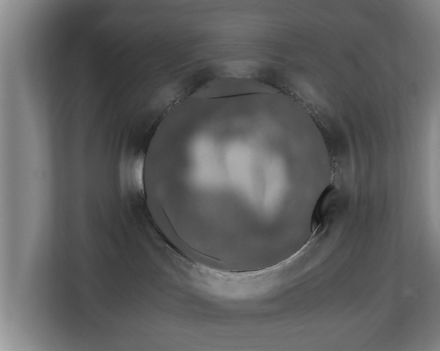 X0000110670047200906191354