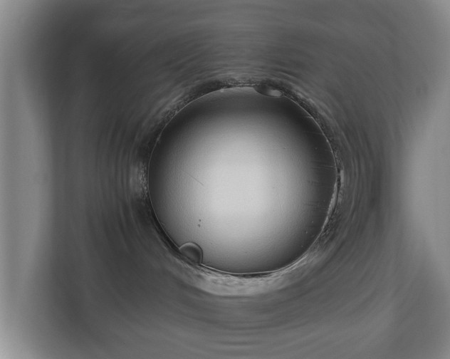 X0000110670048200906191354