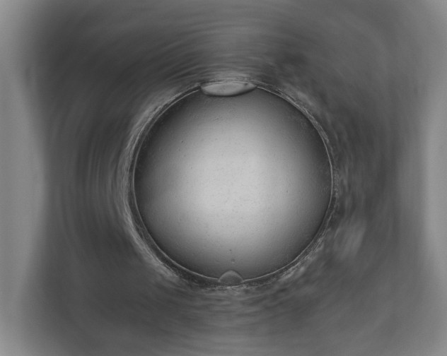 X0000110670049200906191353