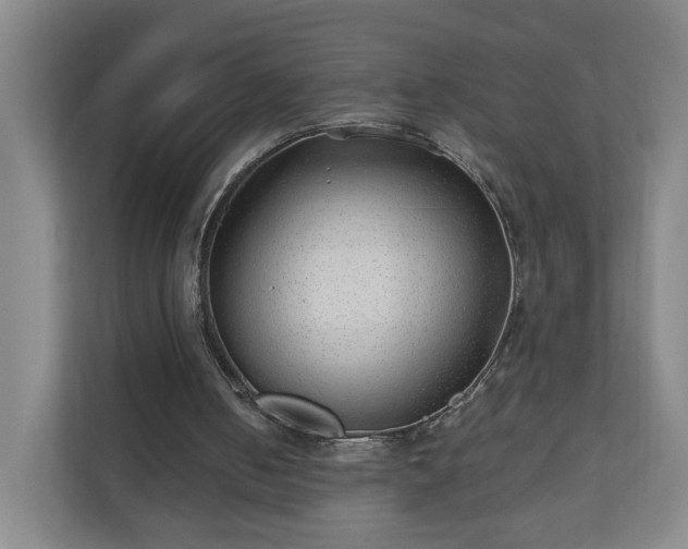 X0000110670050200906191353