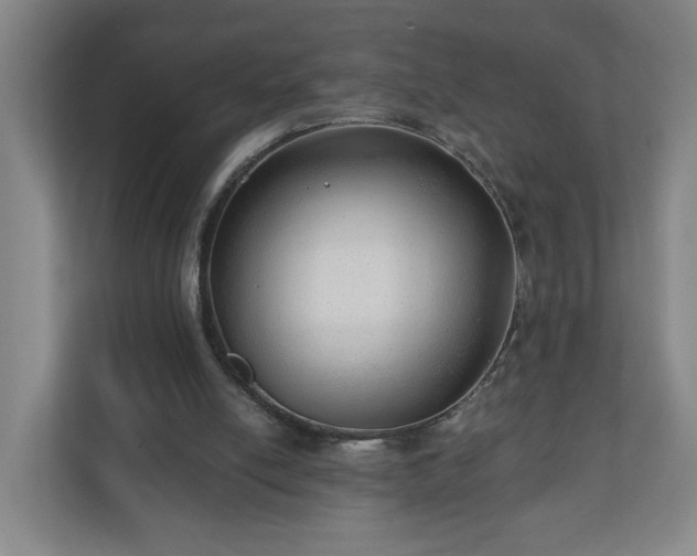 X0000110670054200906191353
