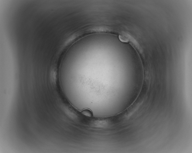 X0000110670063200906191353
