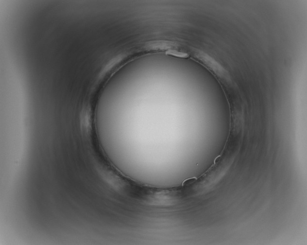 X0000110670064200906191353
