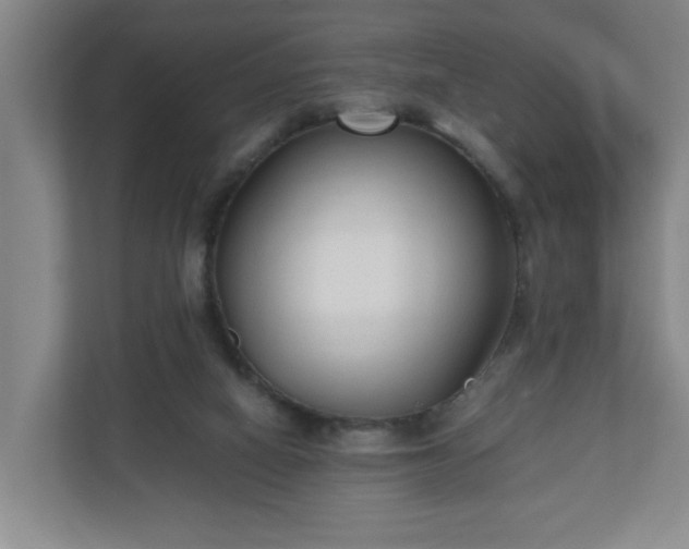 X0000110670066200906191353