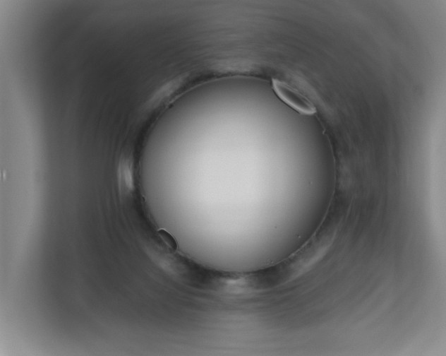 X0000110670068200906191353