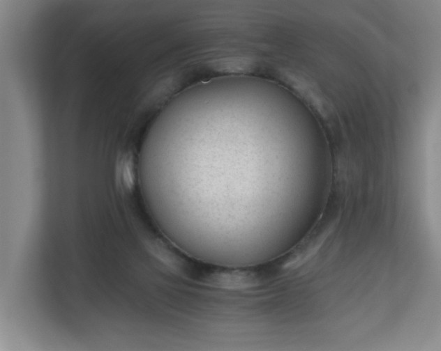 X0000110670069200906191353