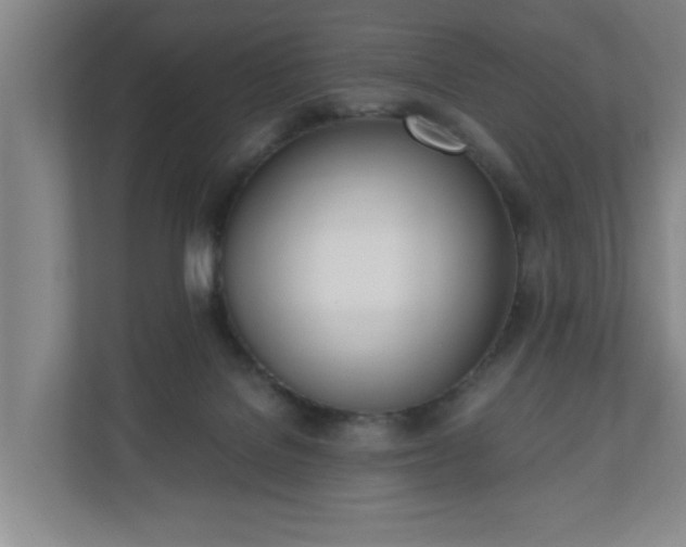 X0000110670076200906191353