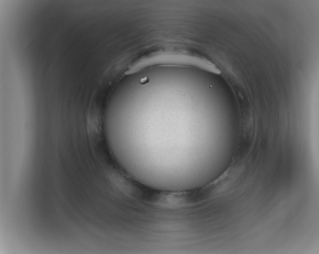 X0000110670078200906191353