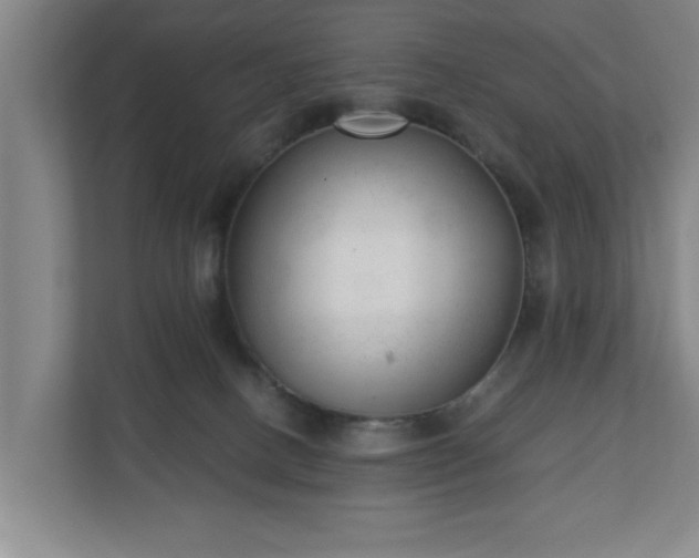 X0000110670082200906191353