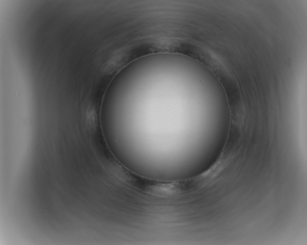 X0000110670086200906191353