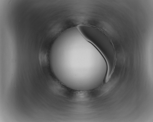 X0000110670088200906191353