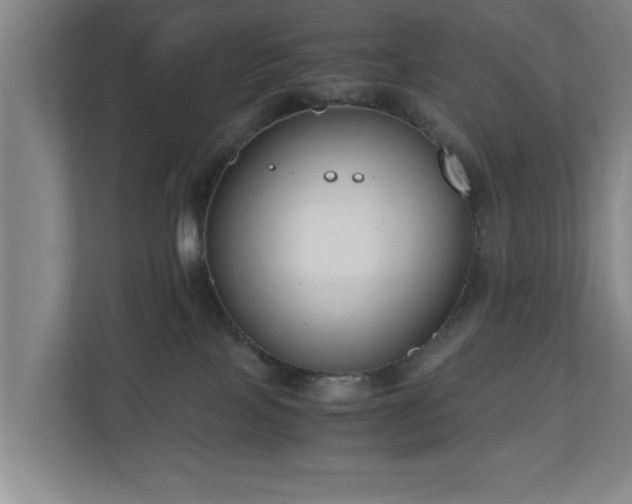 X0000110670089200906191353