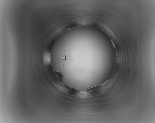 X0000110670095200906191354