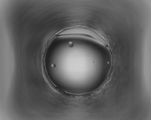 X0000110670097200906191353