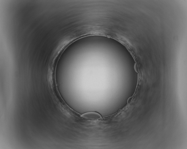 X0000110670098200906191353