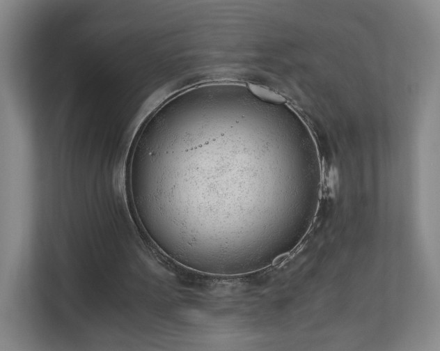 X0000110670099200906191353