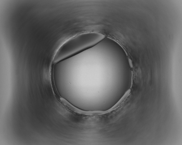 X0000110670100200906191353