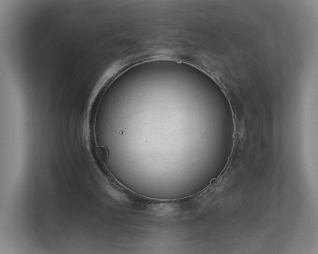 X0000110670102200906191353