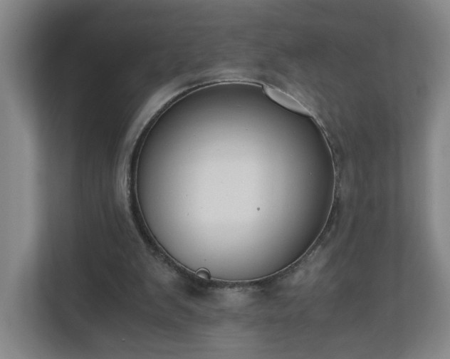X0000110670103200906191353
