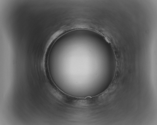 X0000110670104200906191353