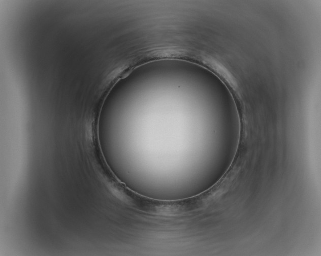 X0000110670105200906191353