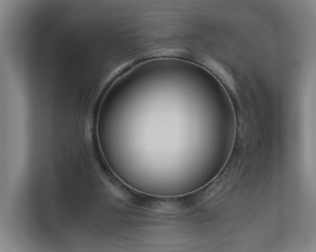 X0000110670107200906191353