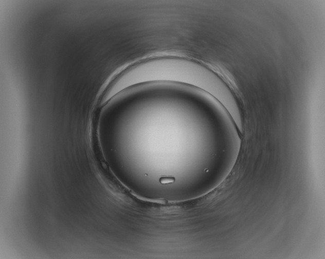 X0000110670108200906191353