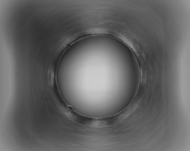 X0000110670109200906191353