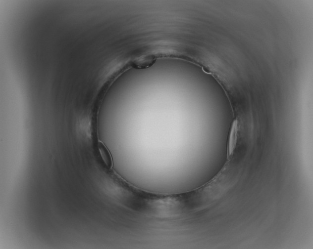 X0000110670112200906191353