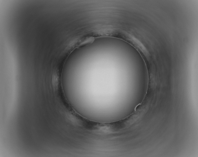 X0000110670113200906191353