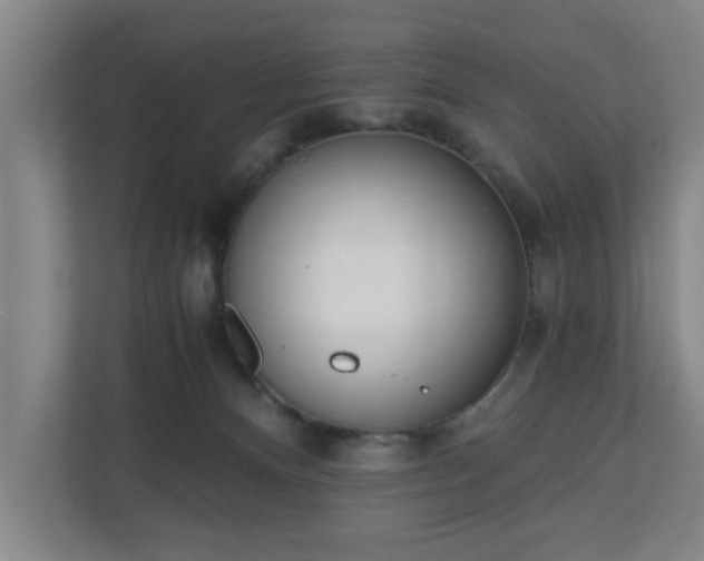 X0000110670128200906191353