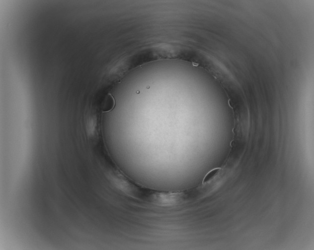 X0000110670134200906191352
