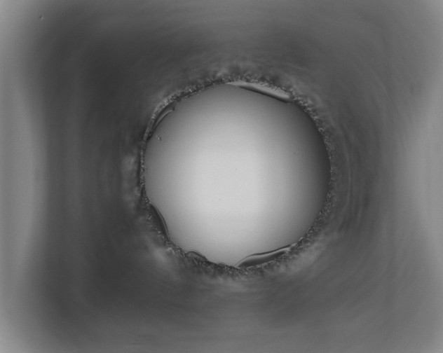 X0000110670144200906191352