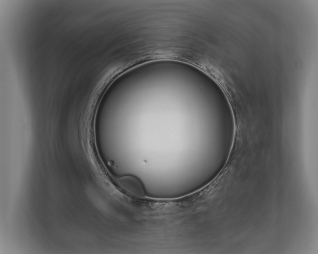 X0000110670145200906191352