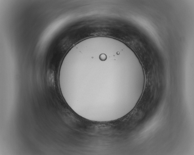X0000110670146200906191352