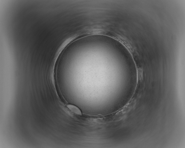 X0000110670147200906191352