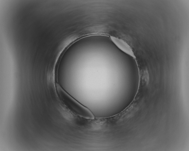 X0000110670148200906191352
