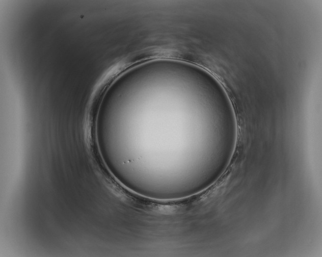 X0000110670149200906191352